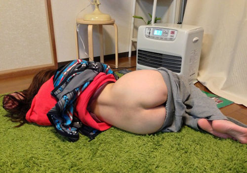 【エロ画像】卑猥すぎて日常に溶け込めないｗ家庭内のエロ尻観察ｗｗｗ